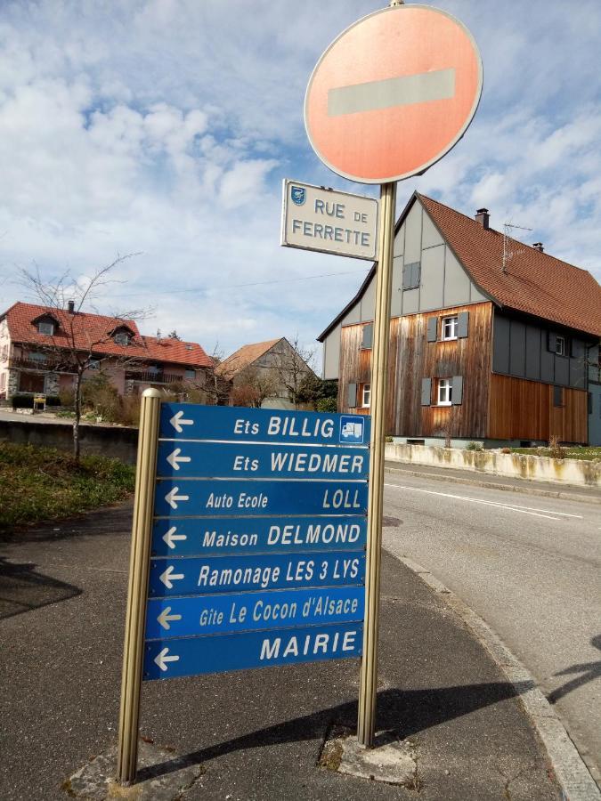 מלון Folgensbourg Le Cocon D'Alsace מראה חיצוני תמונה